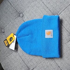 Carhartt Knit Beanie.